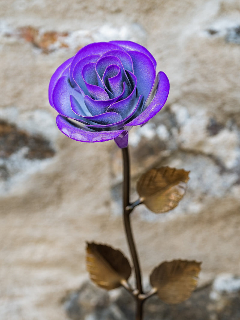 Personalized Gift - Hand-Forged Purple & White Metal Rose - Iron Anniversary - 30th Birthday For Her - 50th Birthday Gift ANNIVERSARY
