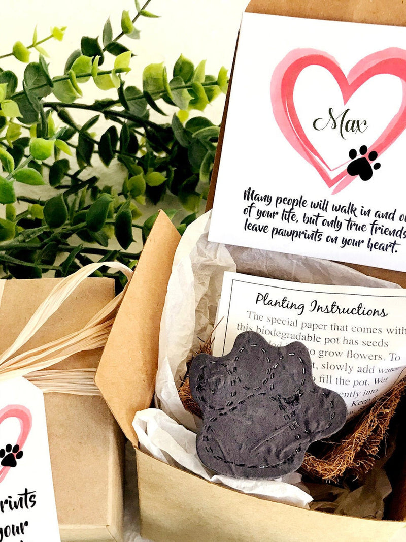 Personalized Pet Loss Gift Box Ð Plantable Seed Paw Keepsake Pet Sympathy Card sympathy flower