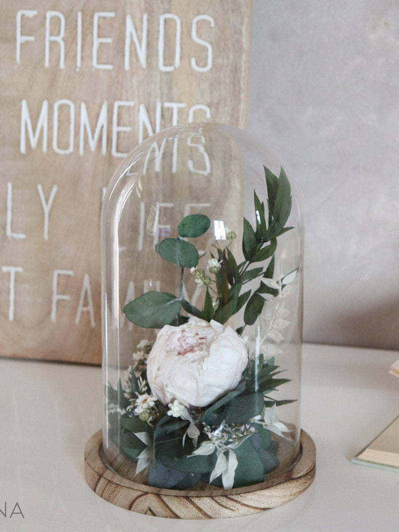 Dried flower composition bell INTEMPORELLE BEAUTE, pale pink peony under a glass bell original gift eternal flower bell FLOWER DELIVERY