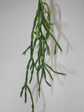 24" Seaweed Plant/Sprays/Greenery/Succulents/Terrarium Decor/Wedding Centerpieces/Home Decor/Faux Flowers/Silk Flowers/Flower Bouquet faux plants