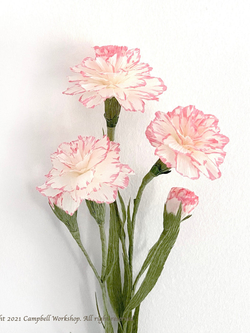 DIY KIT - Handmade Crepe Paper Carnation Flower's Kit with Video Tutorial ANNIVERSARY