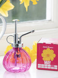 Birth Flower Grow Kit: Hand-Packed Seeds & Glass Mister - Birthday Gift birthday flower