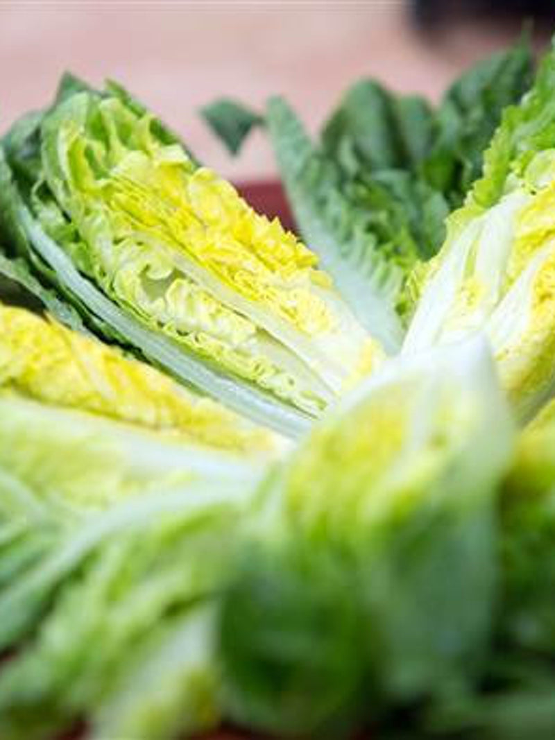 200 Seeds- Organic Little Gem Romaine  Lettuce Seeds - Z059- (Non GMO) flower spore