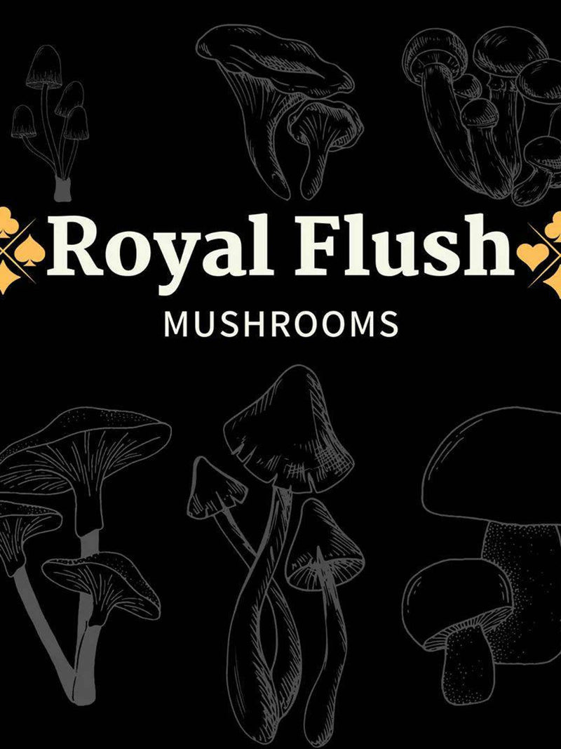18 Liquid Cultures - Bundle flower spore