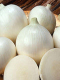100 Seeds-Organic White Onion-ALLIUM CEPA--ALIBABA-Z056 flower spore