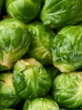 Brussel Sprouts 25 Seeds flower spore