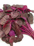Red Amaranth Seeds: Asian Spinach seeds bulk