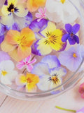30 seeds Pansy Giant Swiss Pansy mix - Viola seeds bulk