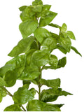 Faux Basil Plant, Artificial Herbs, Kitchen Decor faux plants