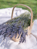 Lavender Bunch | Dried Lavender Stems | Lavender bouquet |Mother's Day bouquet| Preserved flower | Natural Fragrances| Wedding bouquet house warming flower