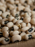 Bulk Organic California Black Eyed Pea Seeds, Vigna unguiculata VI0850 seeds bulk