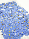 100 PCS Pressed Forget-Me-Nots: Real Dried Blue Flowers dry flower,Pressed flowers silk flower