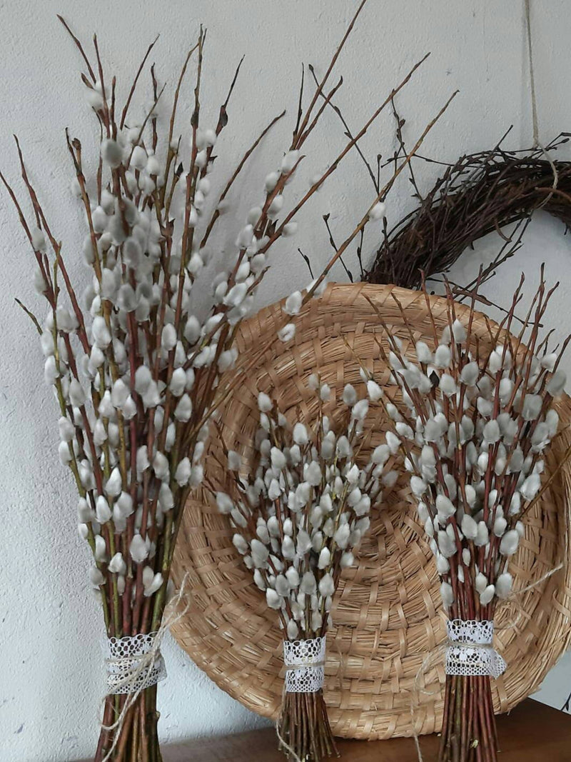 Natural pussy willow bouquet with white catkins, tied stems in a decorative bundle vase filler