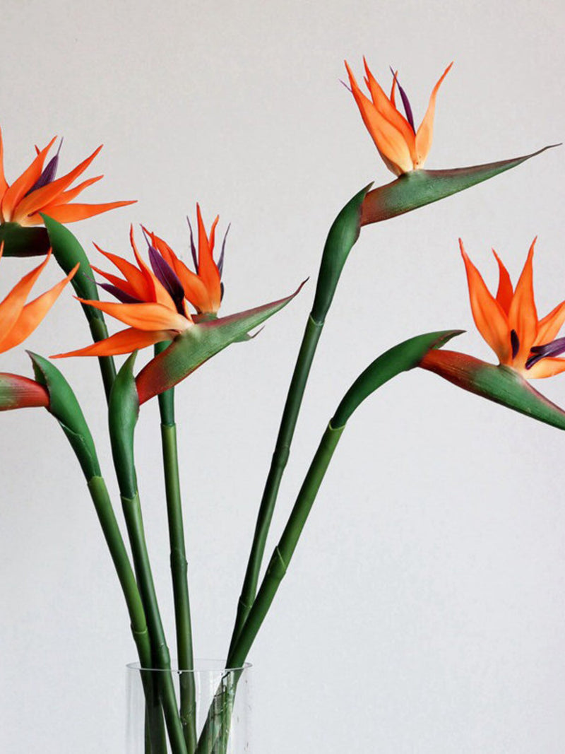 Quality Bird of Paradise Stem Fake Strelitzia Flower Decoration Rustic Floral Arrangement Living Room Floor Vase Filler Lifelike Plant Pick faux plants