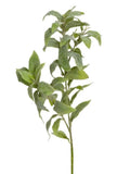 24" Faux Sage, Artificial Sage, Artificial Herbs, Herb Plants, Kitchen Herbs, Kitchen Greenery, Floral Supply faux plants
