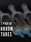 3 Gourmet Mushroom Cultures - Choose From 30 Kinds flower spore