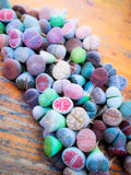 Mixed Lithops SEEDS, Huge variety of species with vibrant coloring, Living Stone, LI0150 seeds bulk