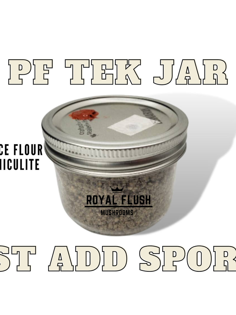 PF Tek Jar with Injection Port and Air Filter flower spore