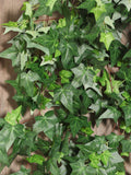 Artificial Ivy Long Vine, Faux Climbing Creeper, Trailing Foliage Greenery, Wall Hanging Plant, Home Floral Decor, Wedding Party Leafy Stem faux plants