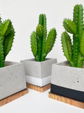 Artificial Cactus Plant in handmade Concrete Pot with Wood Tray - Floating Shelve Decor Fake Plant, Boho Desert Style Decor Faux Plant faux plants