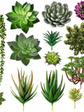 14pcs  Artificial Succulents Set Garden Indoor Natural Color Home Decor DIY Gift Arrangement Office Landscape Plants Fake Flowers faux plants