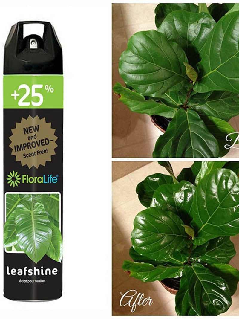 Floralife Leafshine 750ml Bonus Size flower spore