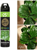 Floralife Leafshine 750ml Bonus Size flower spore