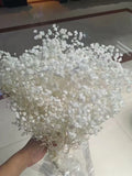 White Preserved-Dried Baby's Breath Flowers , Ivory, Off-White (wedding, floral, bouquet, decor, arrangement,gypsophila,gift FLOWER DELIVERY
