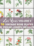 Vintage Roses Illustrations Vol. 3 Printable Wall Art Bundle Digital Download Botanical Floral Nature Scenery Garden Flowers Commercial Use Love Romance Flower