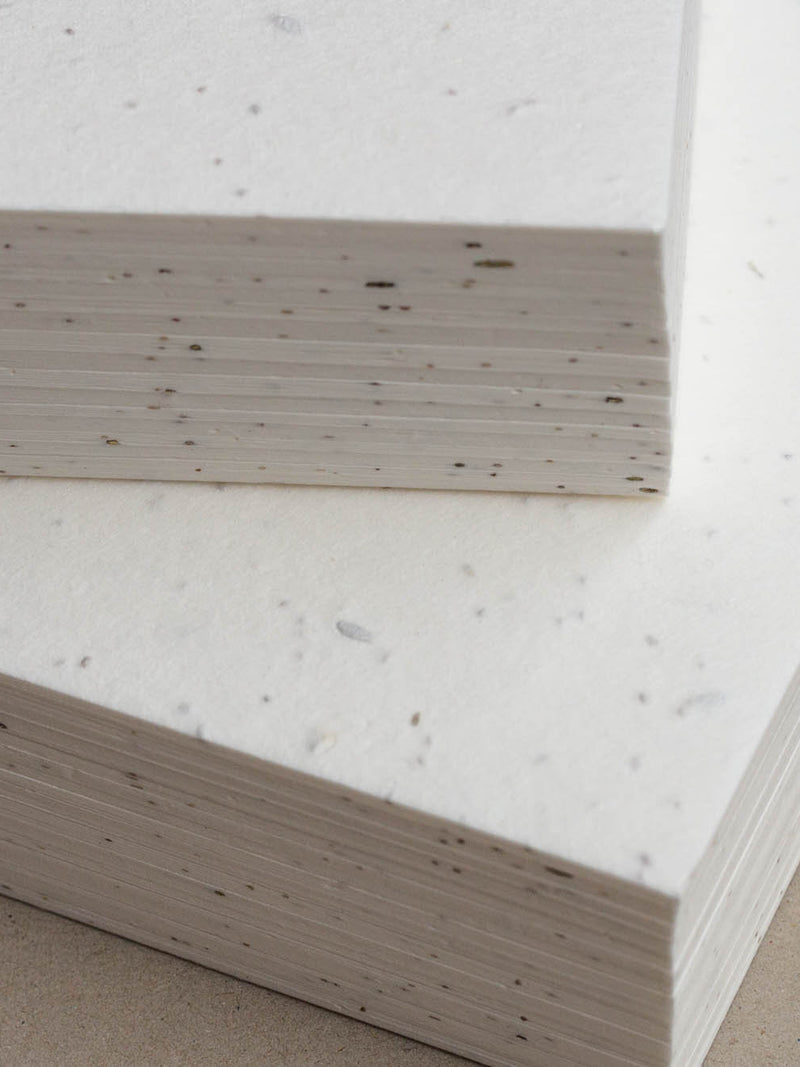 Bulk Plantable Seed Paper - Pack 10 sheets - Wildflower Mix Poppy Daisy Myosotis - Bulk of blank plantable seeded paper sheets wholesale seeds bulk
