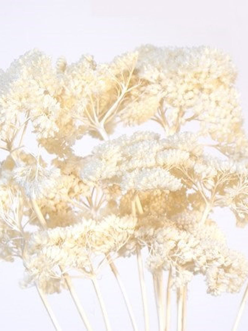 Bleached Yarrow Stems/Wedding Centerpieces/Home Decor/Event Decor/Faux Flowers/Silk Flowers/Flower Bouquet/Spring Wedding/Summer Wedding silk flower