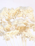 Bleached Yarrow Stems/Wedding Centerpieces/Home Decor/Event Decor/Faux Flowers/Silk Flowers/Flower Bouquet/Spring Wedding/Summer Wedding silk flower