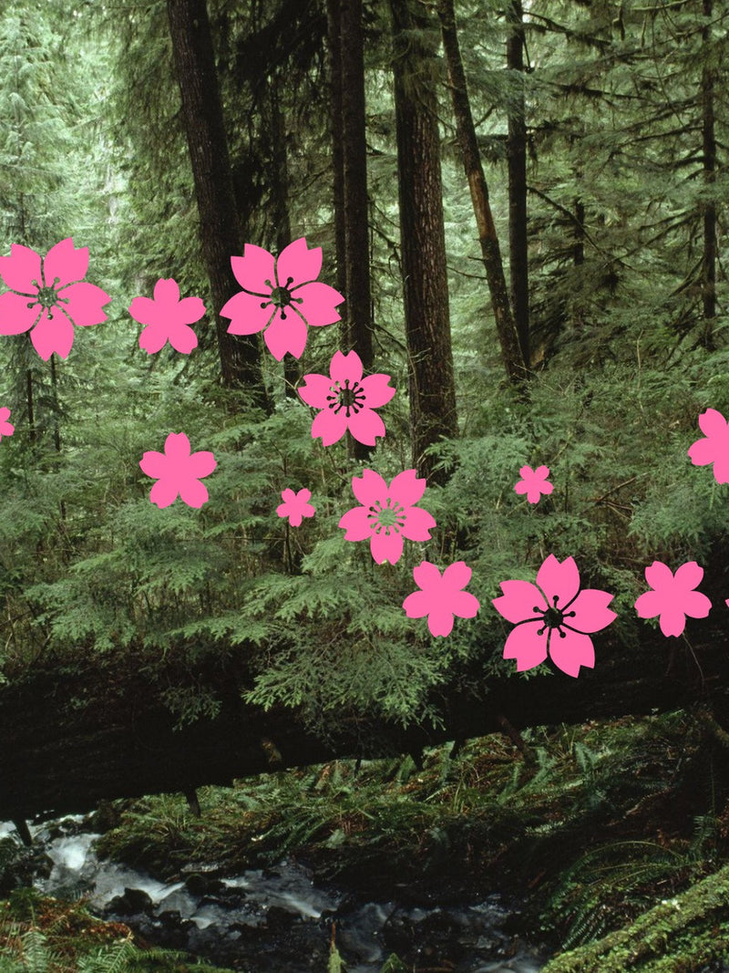 44pcs cherry blossom decals, sakura stickers, sakura laptop decals, plants window sticker, japanese tree flower blossom bumper sticker FLOWER DELIVERY