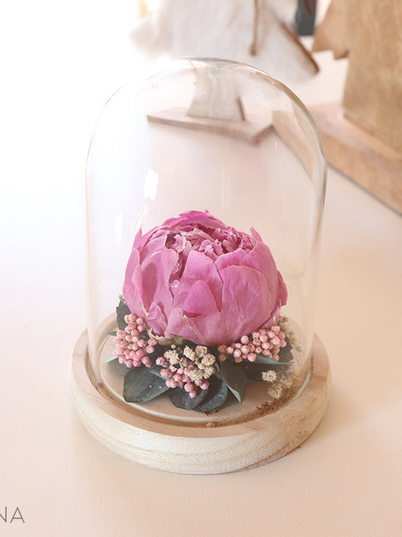 Eternal peony under glass dome SECRET GARDEN  Eco responsible gift, violet dried violet arrangement tendy gift home decoration FLOWER DELIVERY
