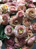 15 seeds Lovely F1  Rosanne Brown Lisianthus flower seeds