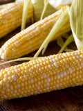 Ambrosia SE Corn Seeds, Bi Color Sweet Corn, Hybrid, Non-GMO, Zea mays seeds bulk
