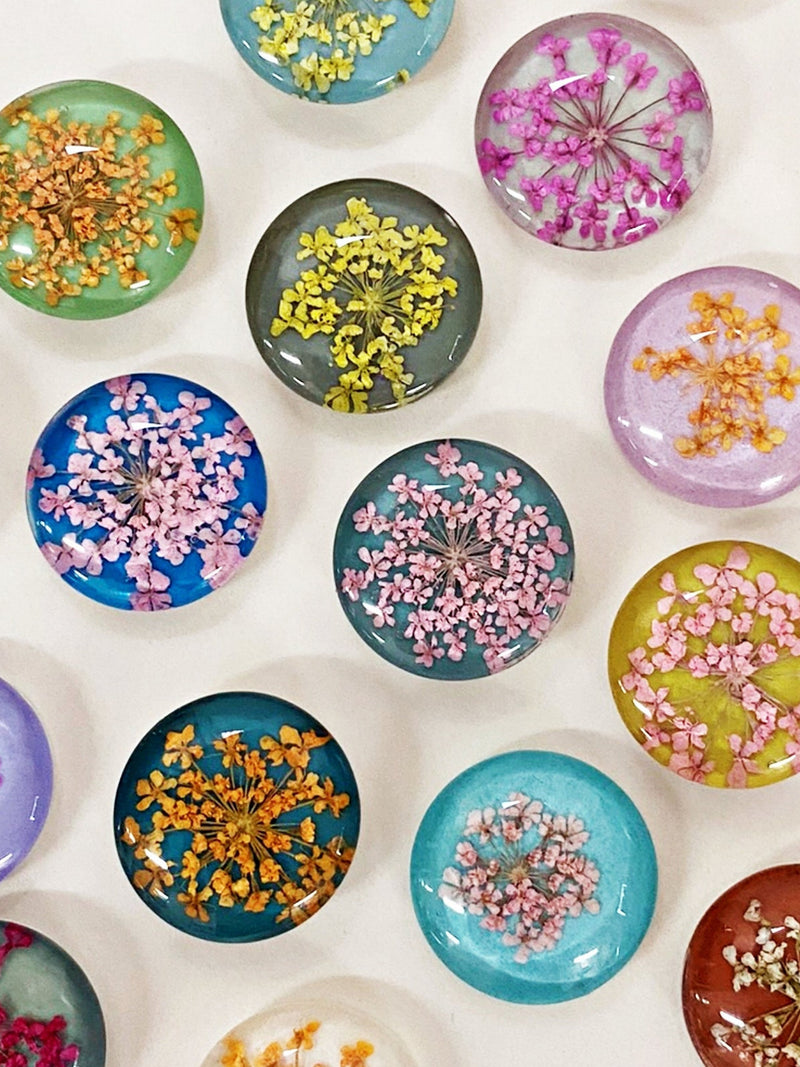 Pressed Dried Flower Botanical Magnet Set: Pastel, pale Tones, Cute Glass Magnets Push Pins, floral fridge Magnets, botanical gift, gardener house warming flower
