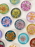 Pressed Dried Flower Botanical Magnet Set: Pastel, pale Tones, Cute Glass Magnets Push Pins, floral fridge Magnets, botanical gift, gardener house warming flower