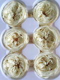 6-piece preserved white rose floral decor set, six cream roses arranged in hex pattern