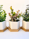 Small Artificial Eucalyptus plant in white Hexagon Pot with Bamboo Tray - green, pink or purple - perfect little gift, cute plant faux plants
