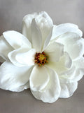 White Magnolia - Artificial Flower, Silk Flower Head - Stem available- PRE-ORDER *read full listing* silk flower