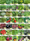 35 variety 2170+ seed, Tested And Packed For Terrace and Kitchen Gardening  (Free Shipping) seeds bulk