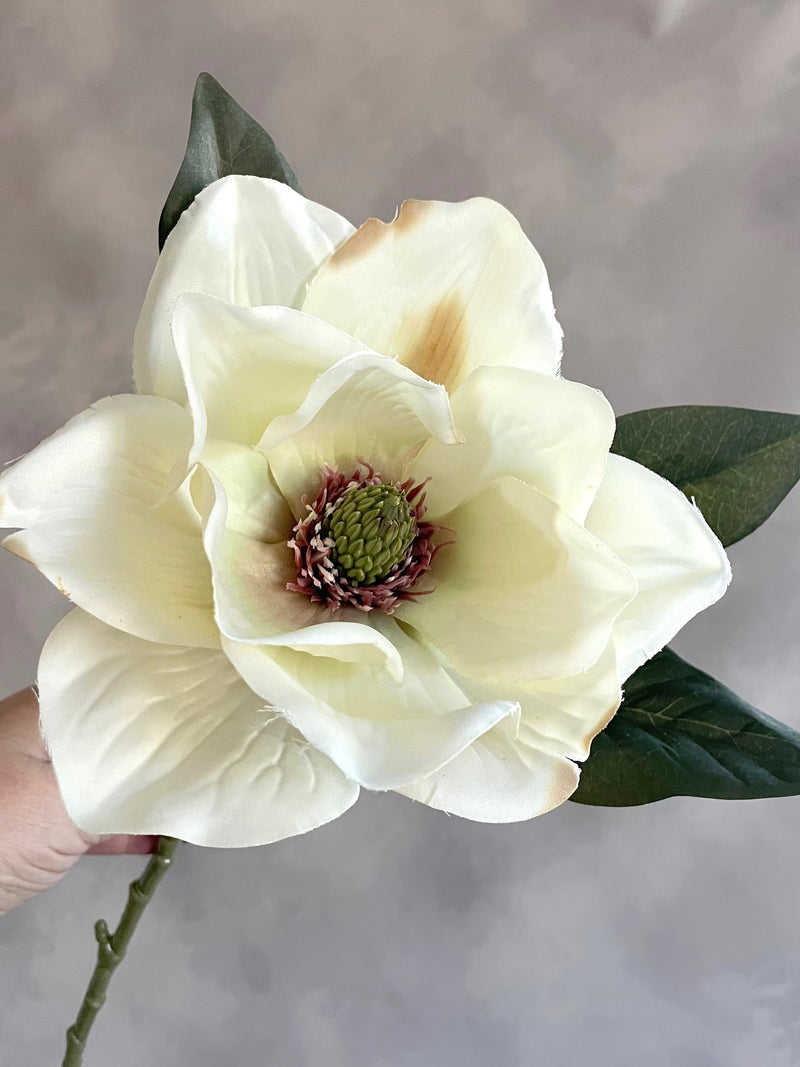 Jumbo Cream Magnolia With or Without Stem - Artificial Flower, Silk Flower Stem - PRE-ORDER silk flower