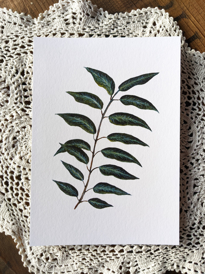 Botanical Leaf (Cedrela Sinensis) Watercolor Print | 5"x7" Signed Archival Quality Fine Art Print house warming flower