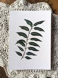 Botanical Leaf (Cedrela Sinensis) Watercolor Print | 5"x7" Signed Archival Quality Fine Art Print house warming flower