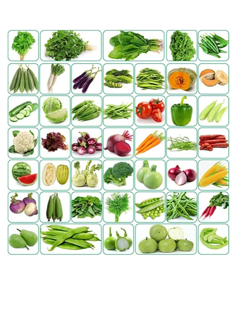 45 Varieties - 2580+ vegetables Seeds  ( Free Shipping) seeds bulk