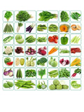 45 Varieties - 2580+ vegetables Seeds  ( Free Shipping) seeds bulk