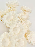 High Quality - HANDMADE SOLA Wood Flower - 3-in-1 Aster Daisy Nectar | Diffuser Reeds | Dried Floral Design | Pure White flower spore