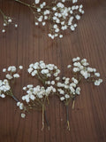 5 -24 pieces Baby's Breath Hair Pin, Gypsophila Hair Pin, Baby's Breath Bridal Hair Pin,  Bridal Hair Accessories, Dried Flower Hair Pins wedding flower