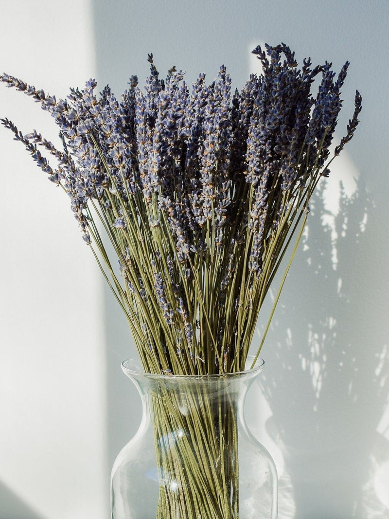Dried Lavender Stems: Preserved Floral Bouquet Home Decor FLOWER DELIVERY